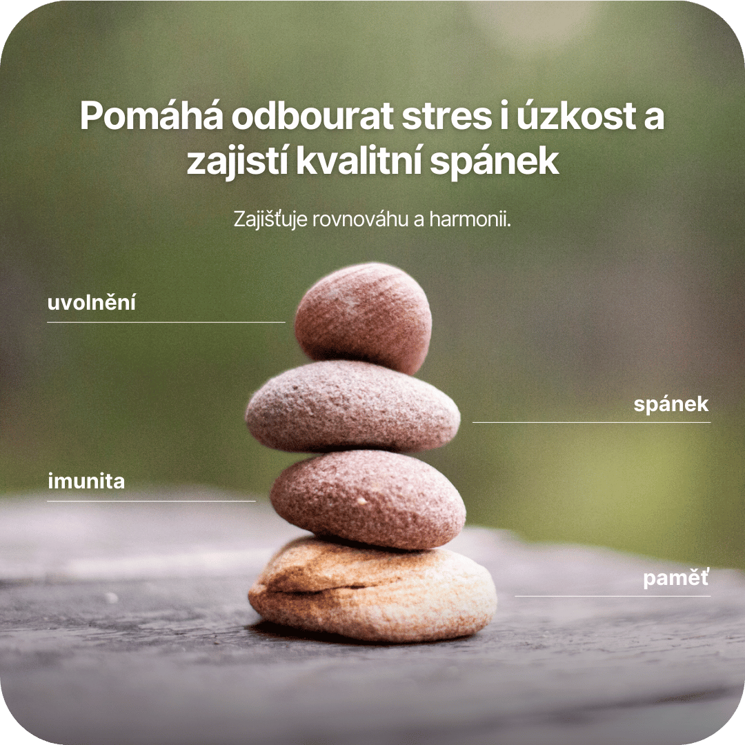 infografika